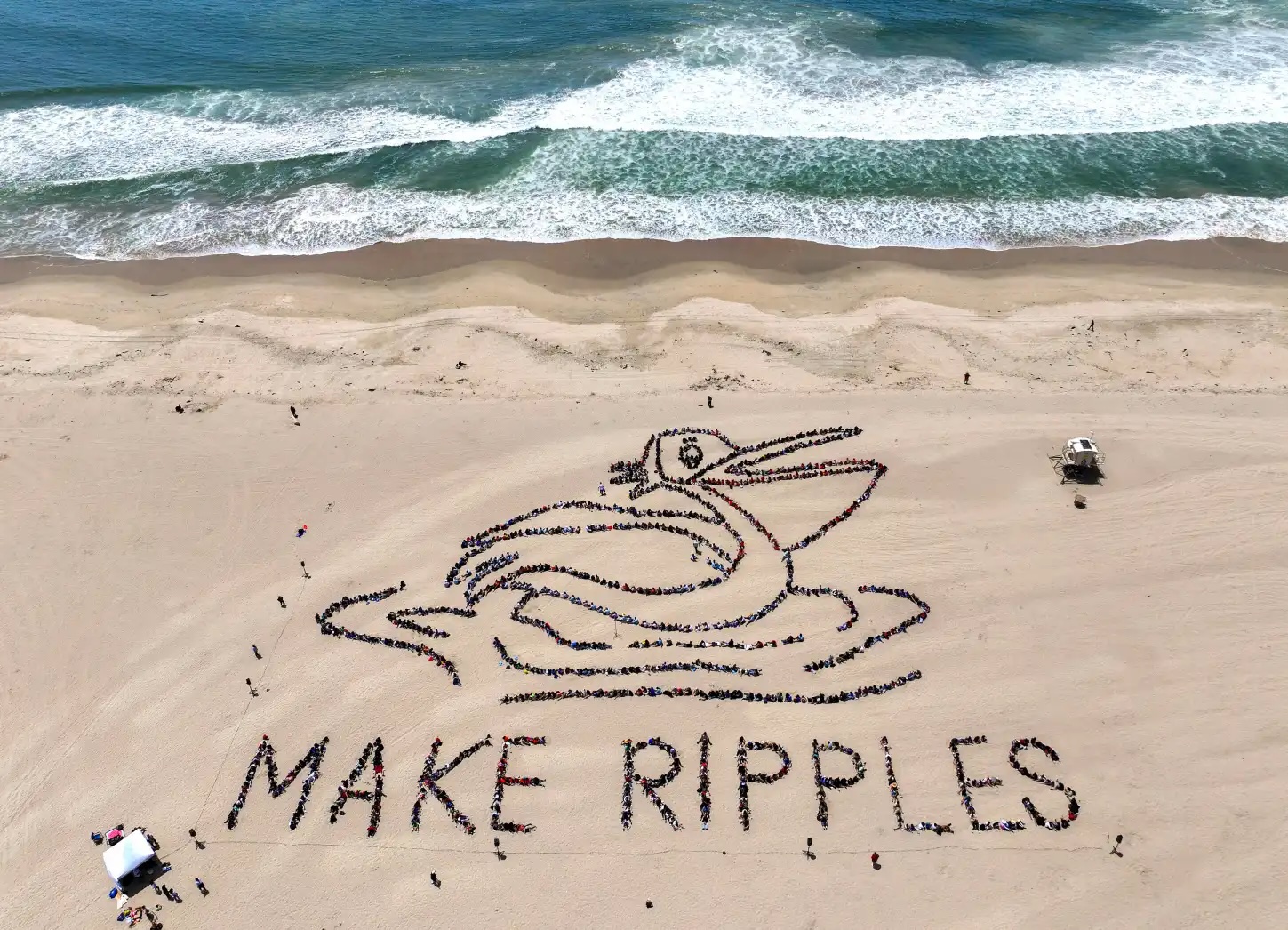 Kids Ocean Day, students make ripples of positive change.